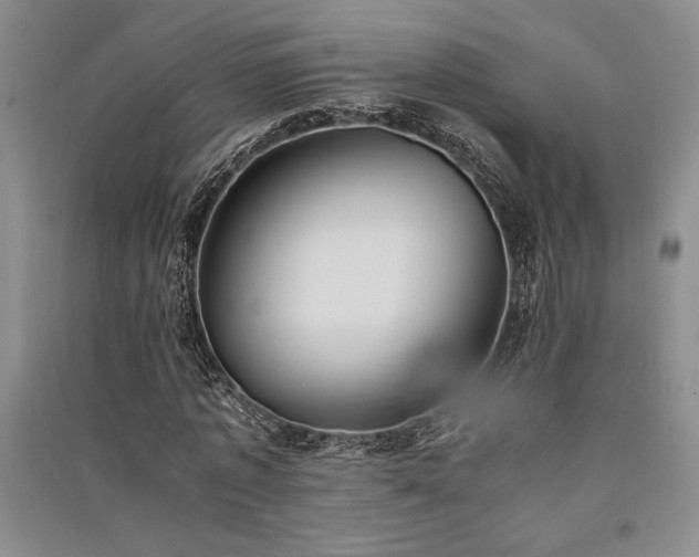 X0000091520773200708171216