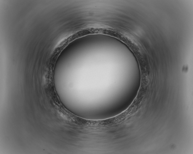 X0000091520775200708171216