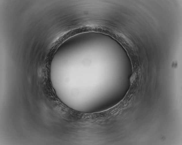 X0000091520776200708171216