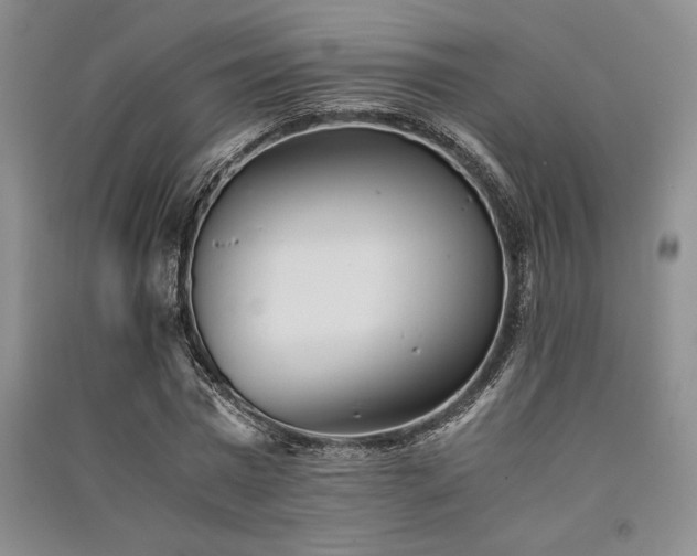 X0000091520777200708171216