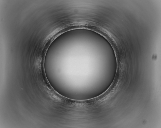 X0000091520778200708171216