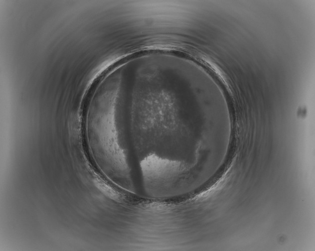 X0000091520779200708171216