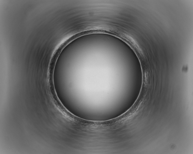 X0000091520780200708171215