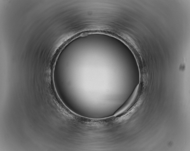 X0000091520781200708171215