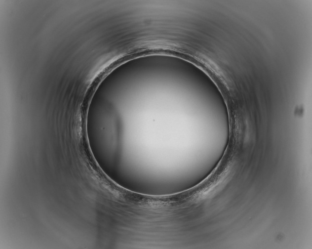 X0000091520782200708171215