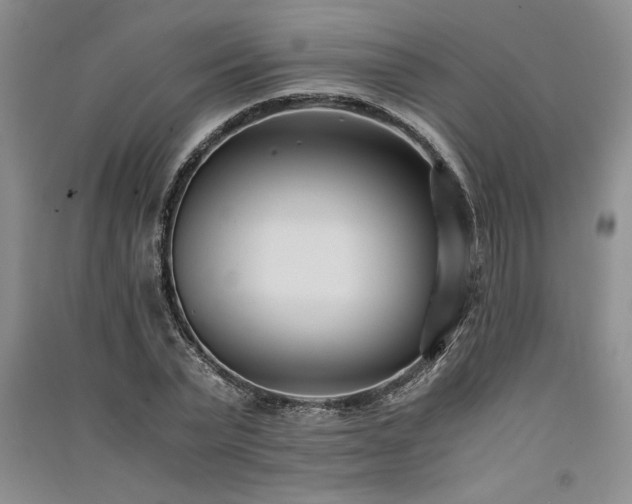 X0000091520783200708171215