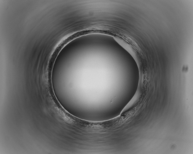 X0000091520784200708171215