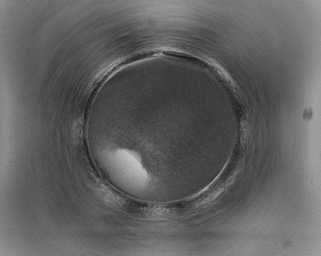 X0000091520785200708171215
