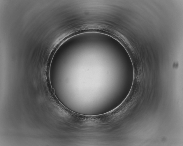 X0000091520786200708171215