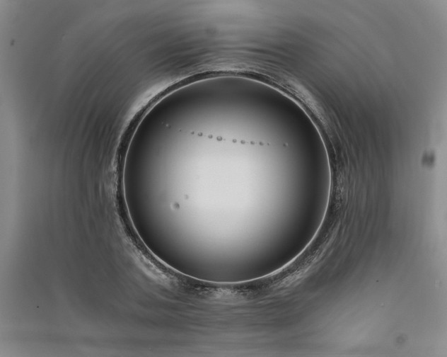 X0000091520787200708171215