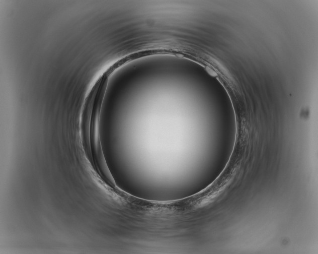 X0000091520788200708171215