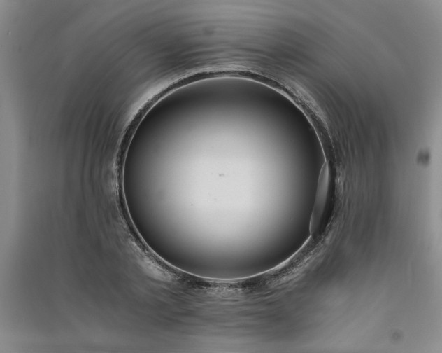 X0000091520789200708171215