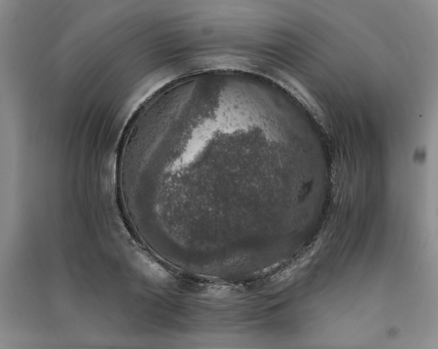 X0000091520790200708171215