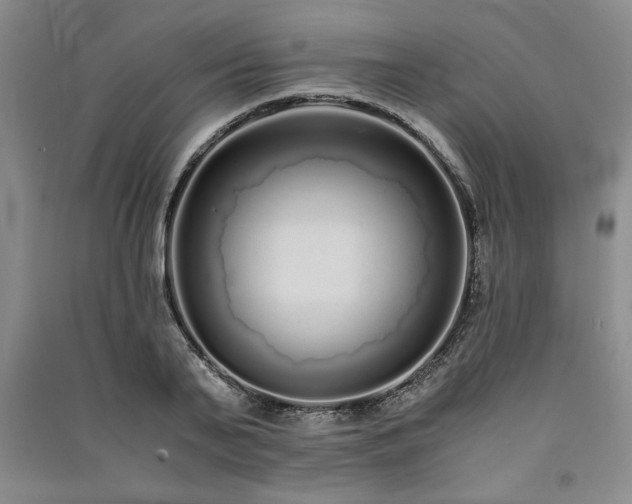 X0000091520791200708171215