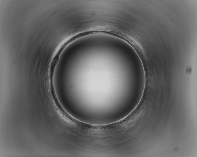 X0000091520792200708171215