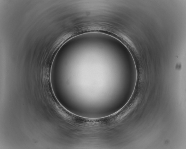 X0000091520793200708171215