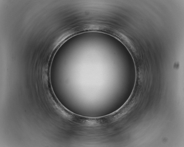 X0000091520794200708171215