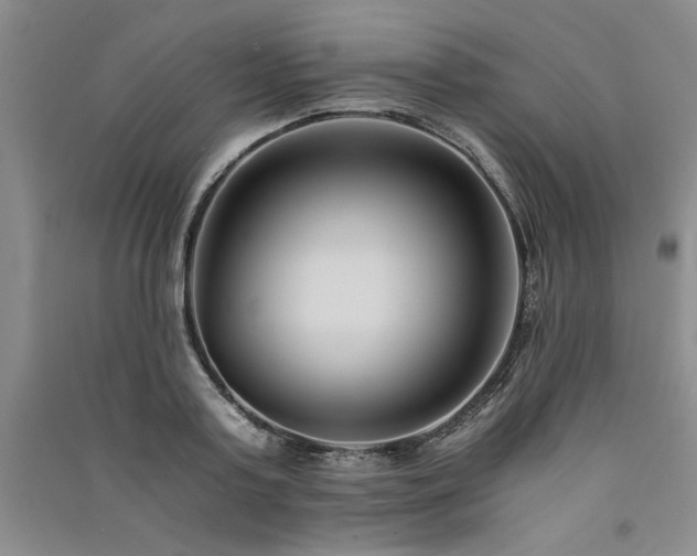 X0000091520795200708171215