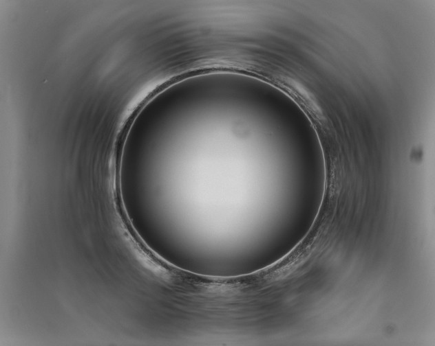 X0000091520796200708171215