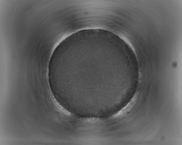 X0000091520797200708171215