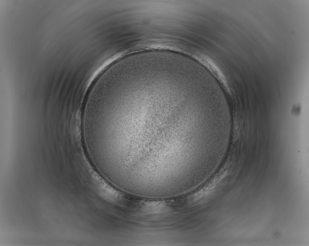 X0000091520798200708171215