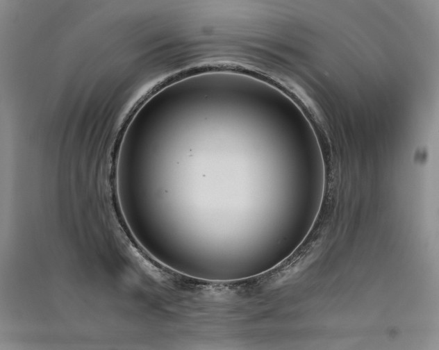 X0000091520799200708171215