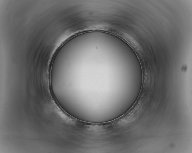 X0000091520800200708171215