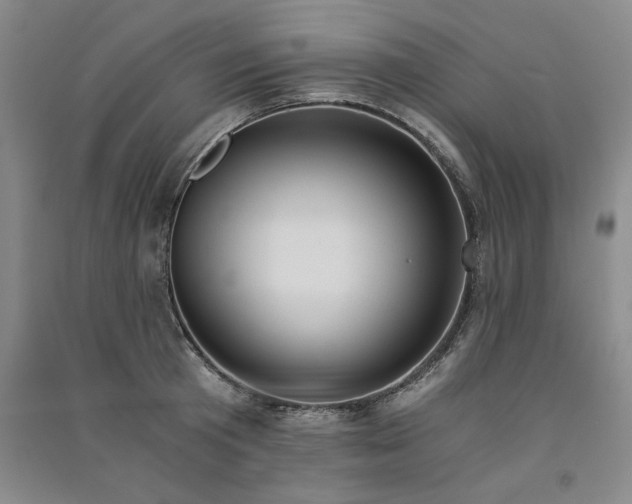 X0000091520801200708171215