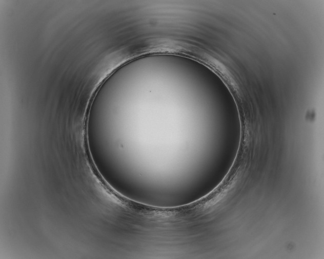 X0000091520802200708171215