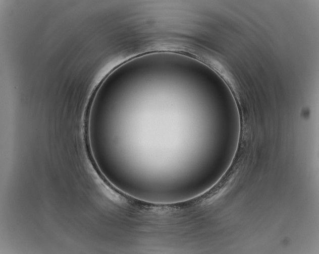 X0000091520803200708171215