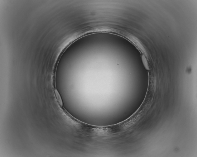 X0000091520805200708171215