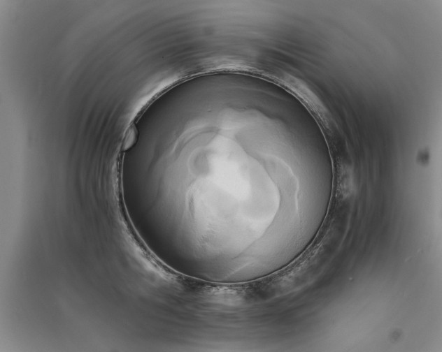 X0000091520806200708171215