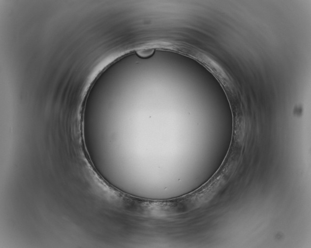X0000091520808200708171215