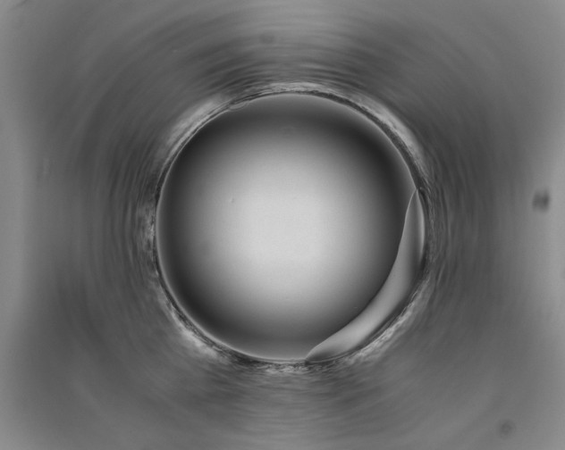 X0000091520809200708171215
