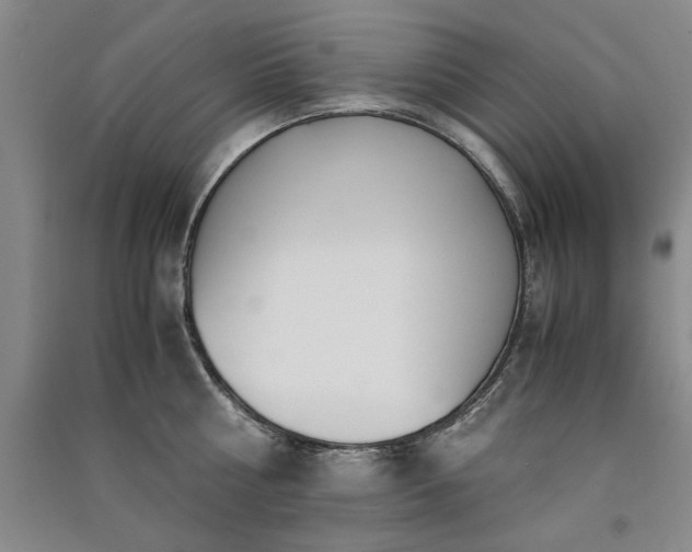 X0000091520810200708171215