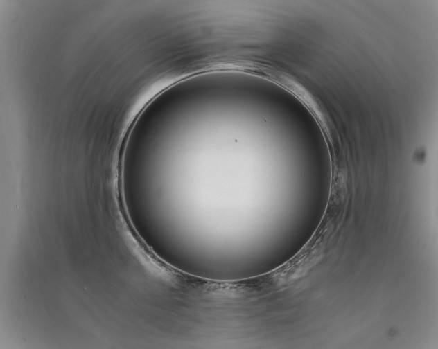 X0000091520811200708171215