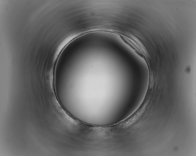 X0000091520812200708171215