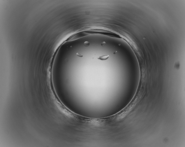 X0000091520814200708171215