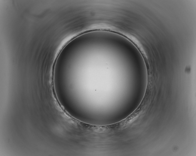 X0000091520815200708171215