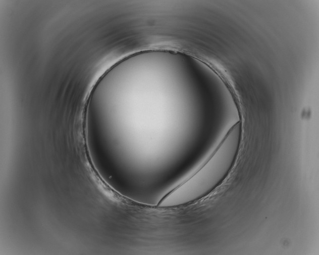 X0000091520816200708171215