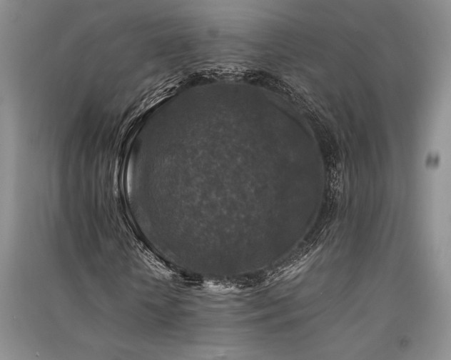 X0000091520818200708171214