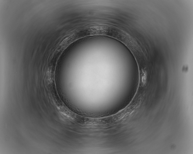 X0000091520819200708171214