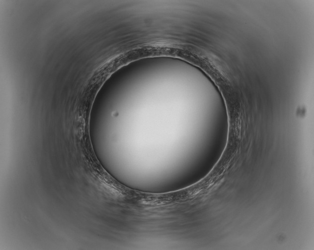 X0000091520821200708171214