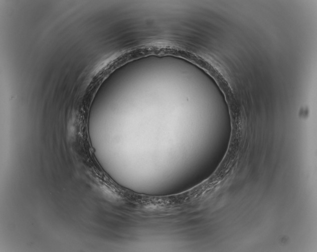 X0000091520823200708171215