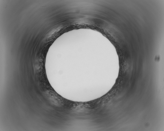 X0000091520824200708171215