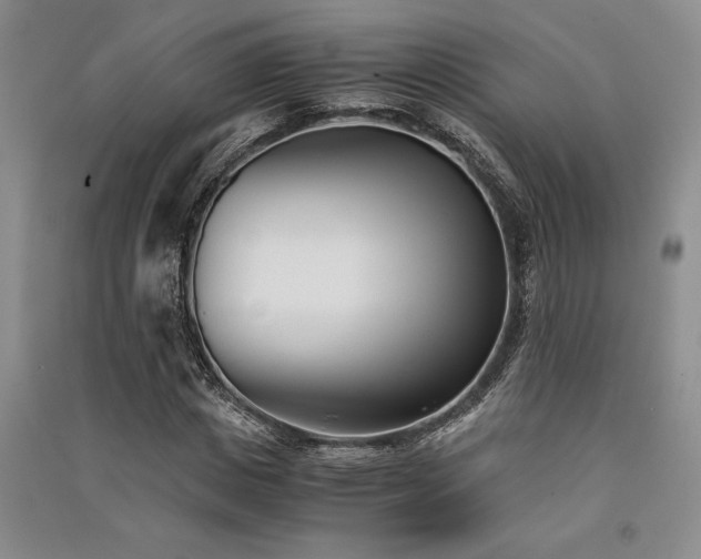 X0000091520825200708171215