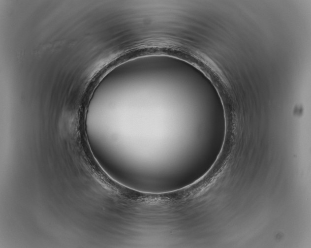 X0000091520826200708171215