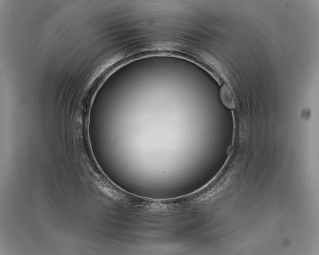 X0000091520827200708171215