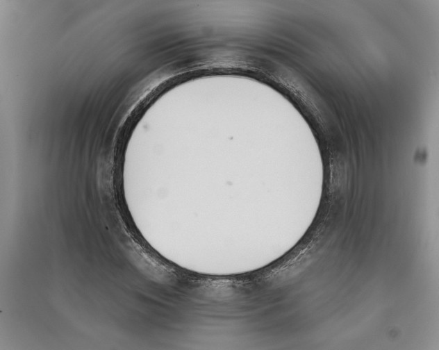 X0000091520828200708171215