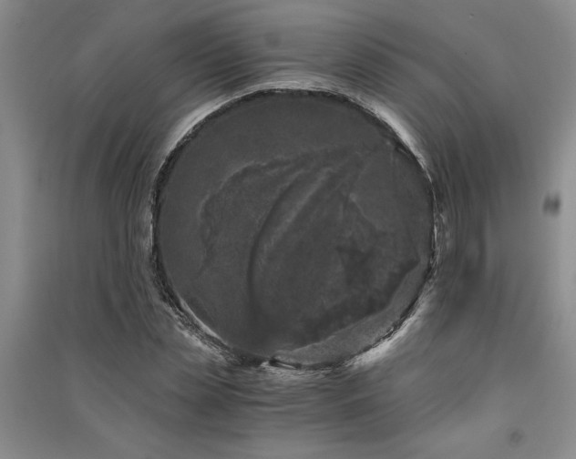 X0000091520829200708171215